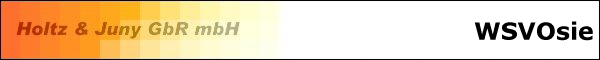 Holtz und Juny online